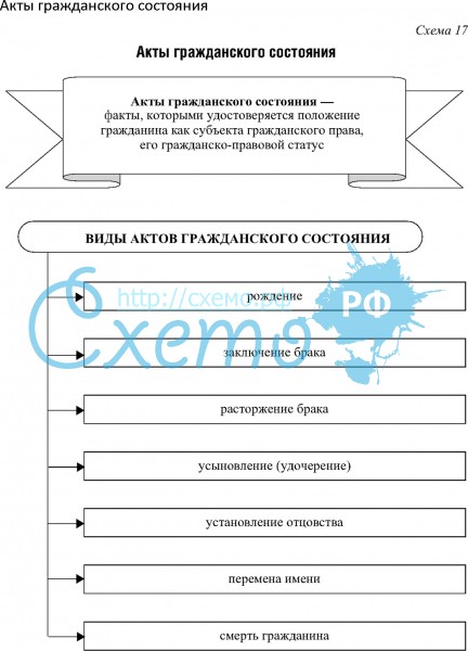 Что значит специализированный отдел загса