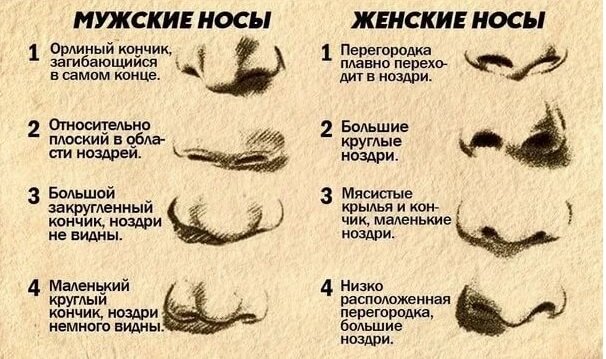 Цитаты про брови: мудрые и красочные высказывания о важности бровей
