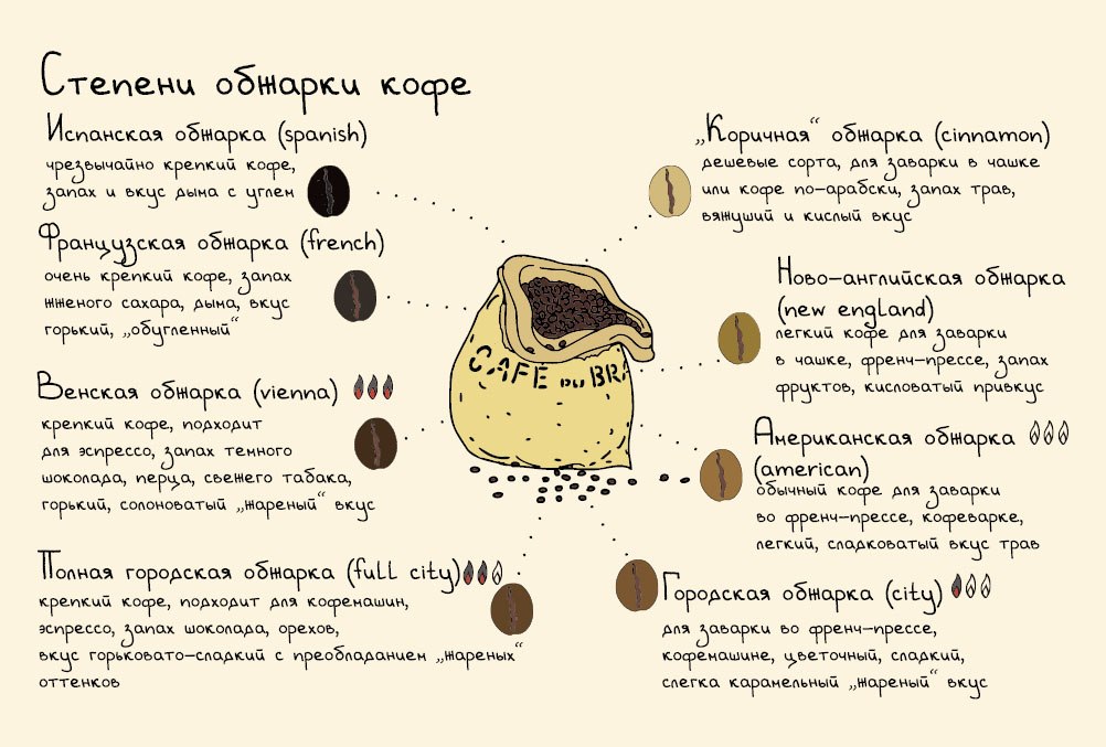 9 примеров самого крепкого кофе: какие сорта, отличие робусты от арабики, влияние обжарки, кому нельзя пить, где попробовать