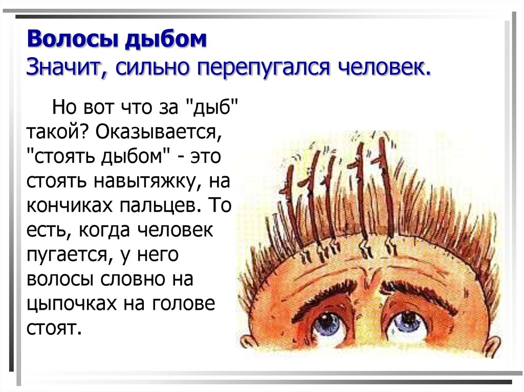 Откуда произошли и что значат популярные фразеологизмы: часть 2