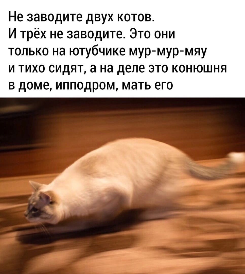 Тыгыдык: что это значит, происхождение и использование