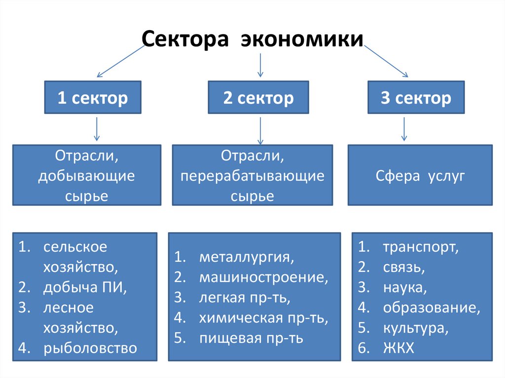 Отрасль и сфера деятельности: основные аспекты и отличия