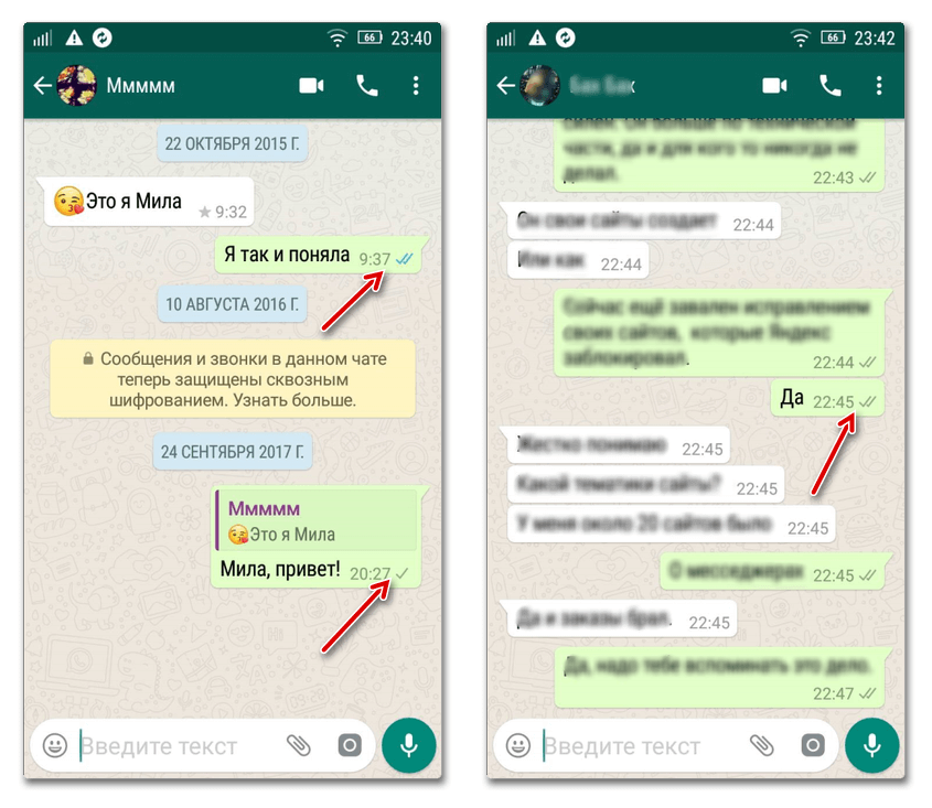 10 полезных опций whatsapp, которые следует знать каждому + видео - яблык: технологии, природа, человек