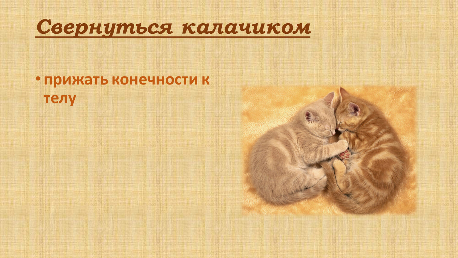 Значение слова калачиком: что это такое?