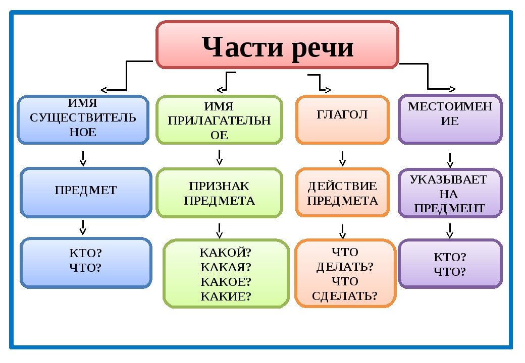 Склоняемые части речи – формы