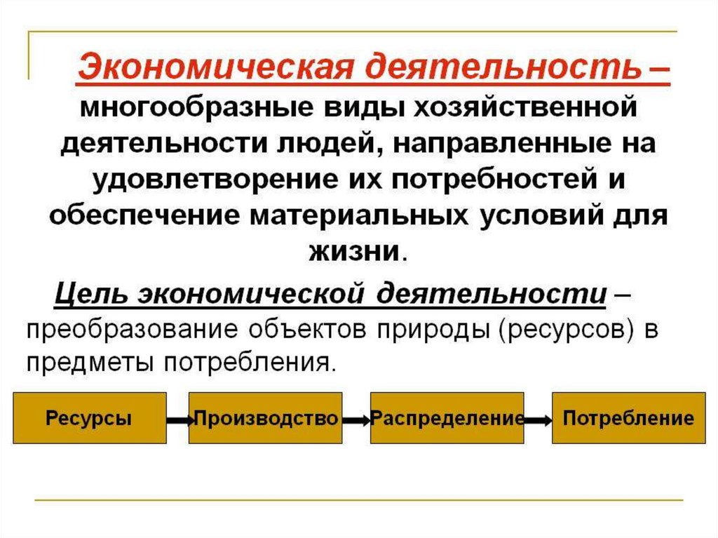 Малый бизнес и его роль в экономическом развитии общества