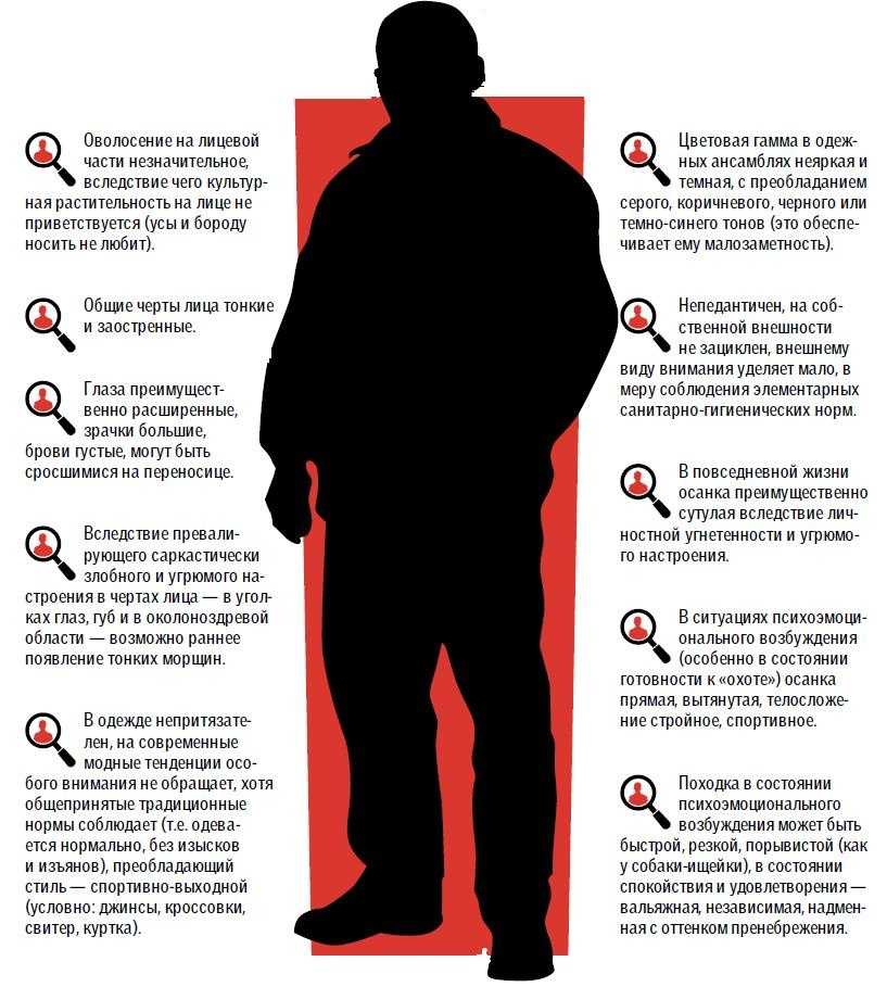 Что такое полторашка? объяснение термина полторашка