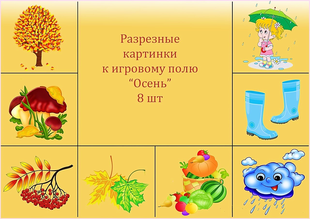 Первый день осени: особенности и волшебство начала сентября