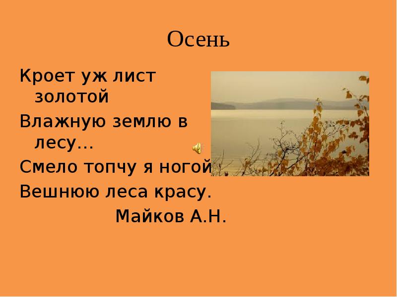 Что значит внешняя краса леса