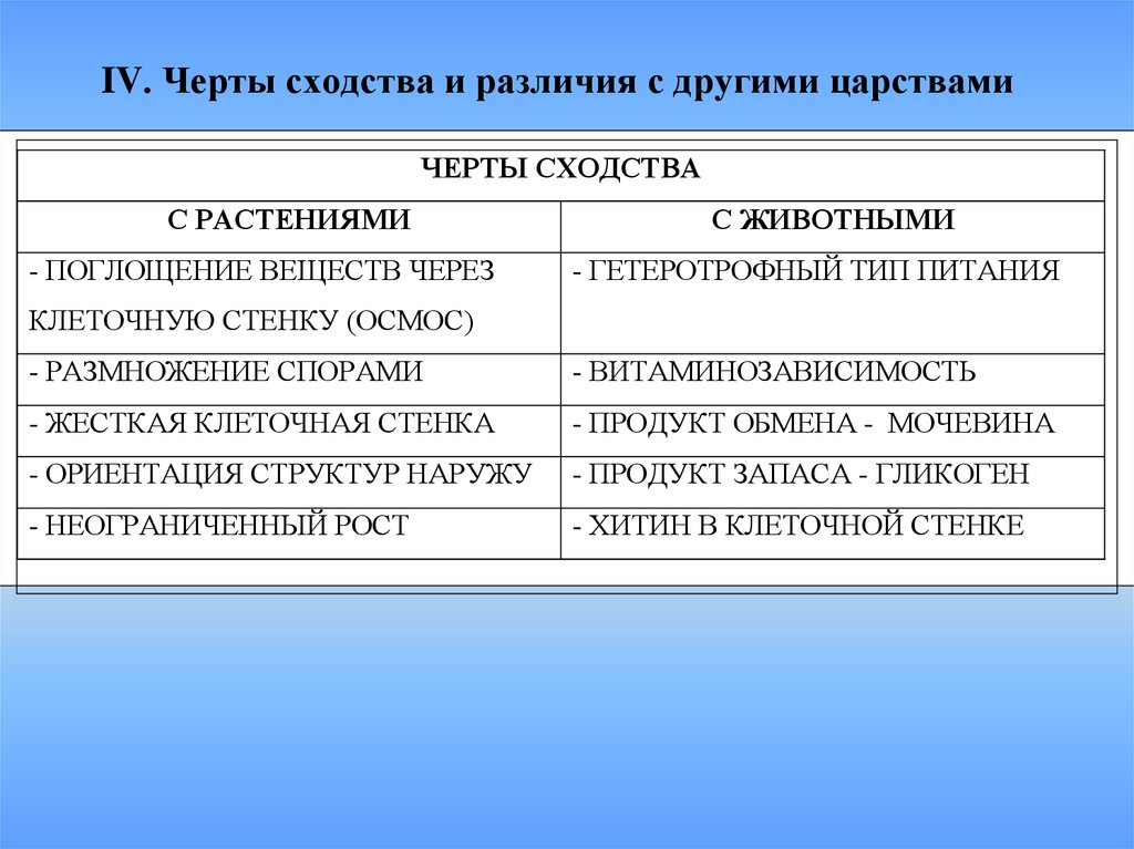 Что значит черты сходства