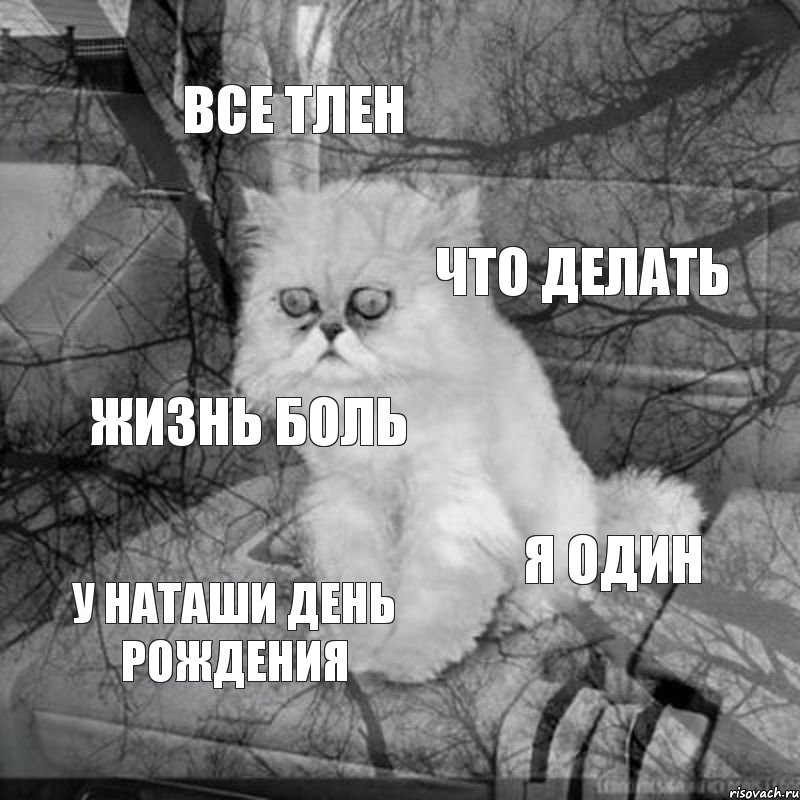 Тленность бытия: что это значит и как она влияет на нашу жизнь