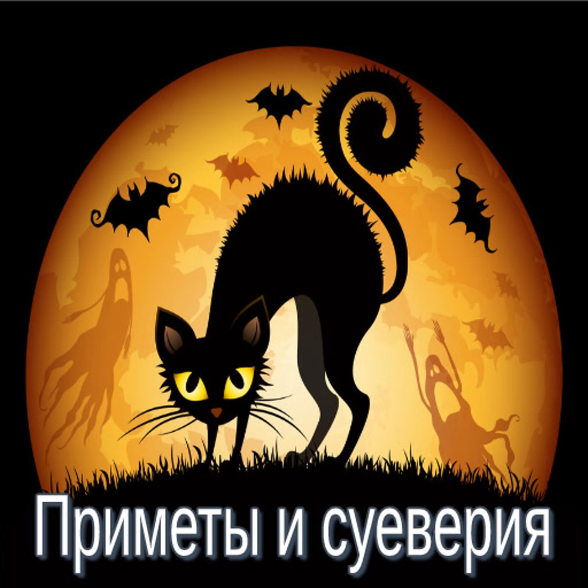Приметы о прикушенной губе: знаки и суеверия.
