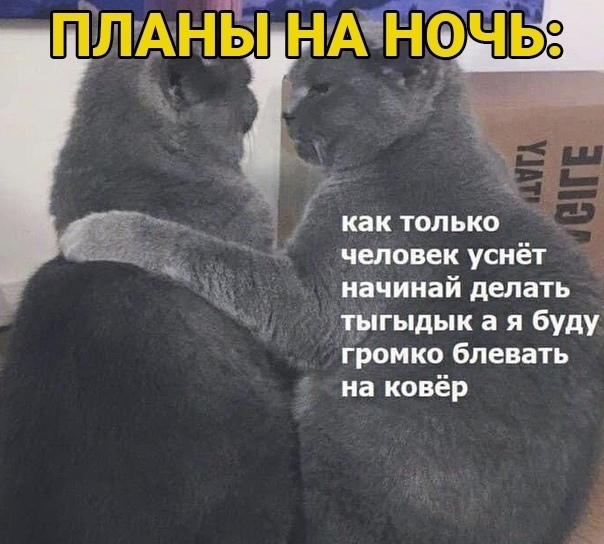  словарь диалектных слов