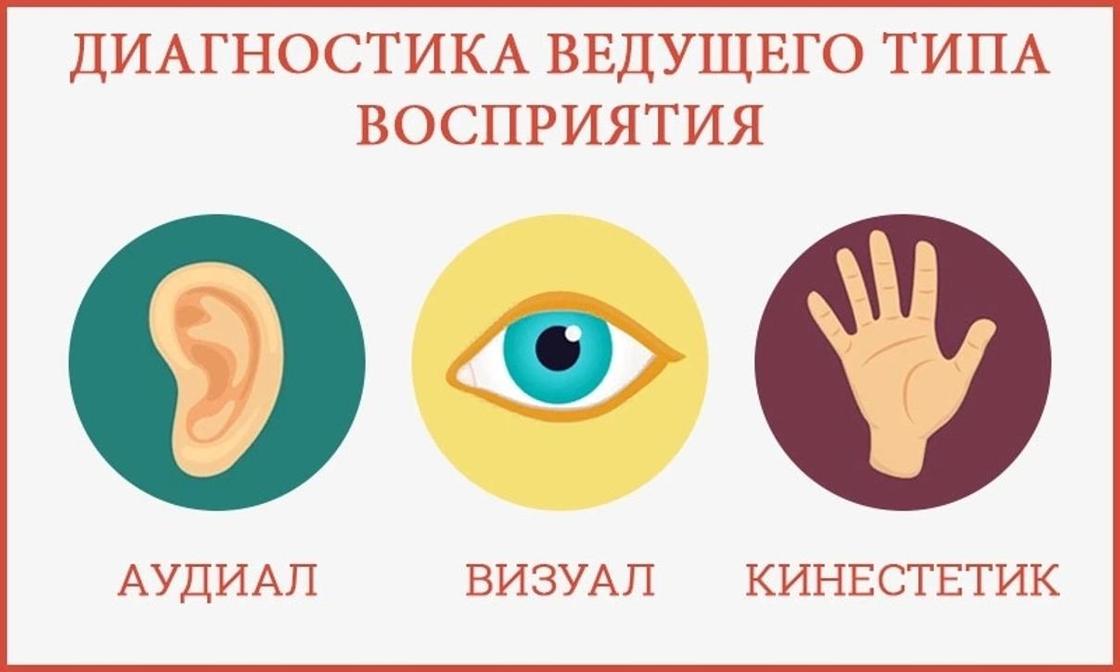 Приоритетные каналы восприятия и тип модальности партнера, конспект лекций
