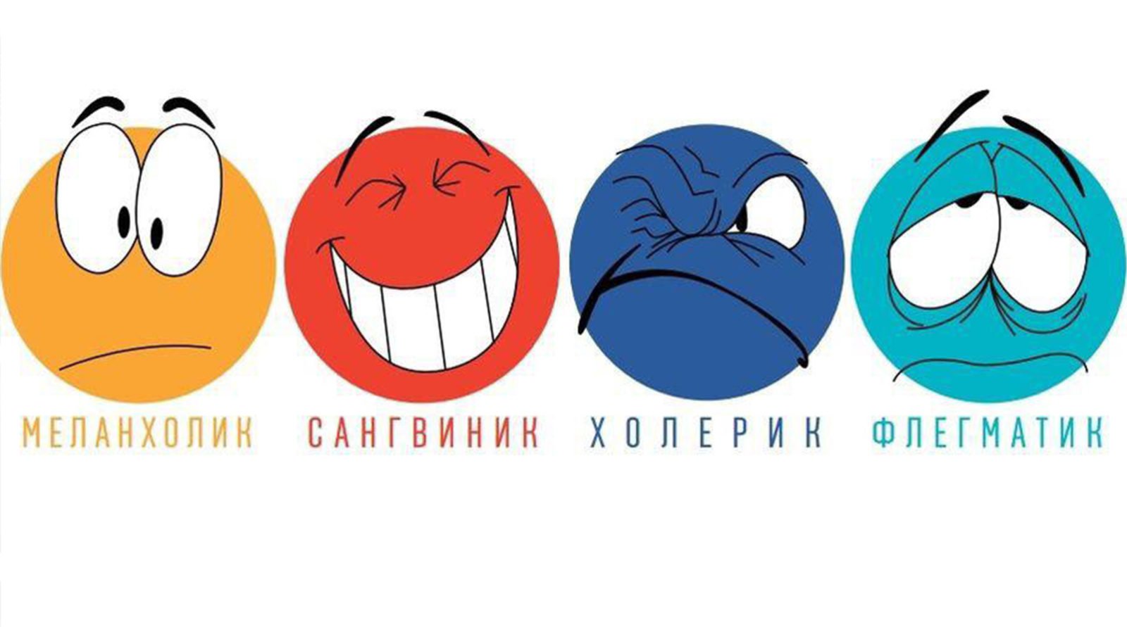 Что такое темперамент? определение, виды и характеристика
