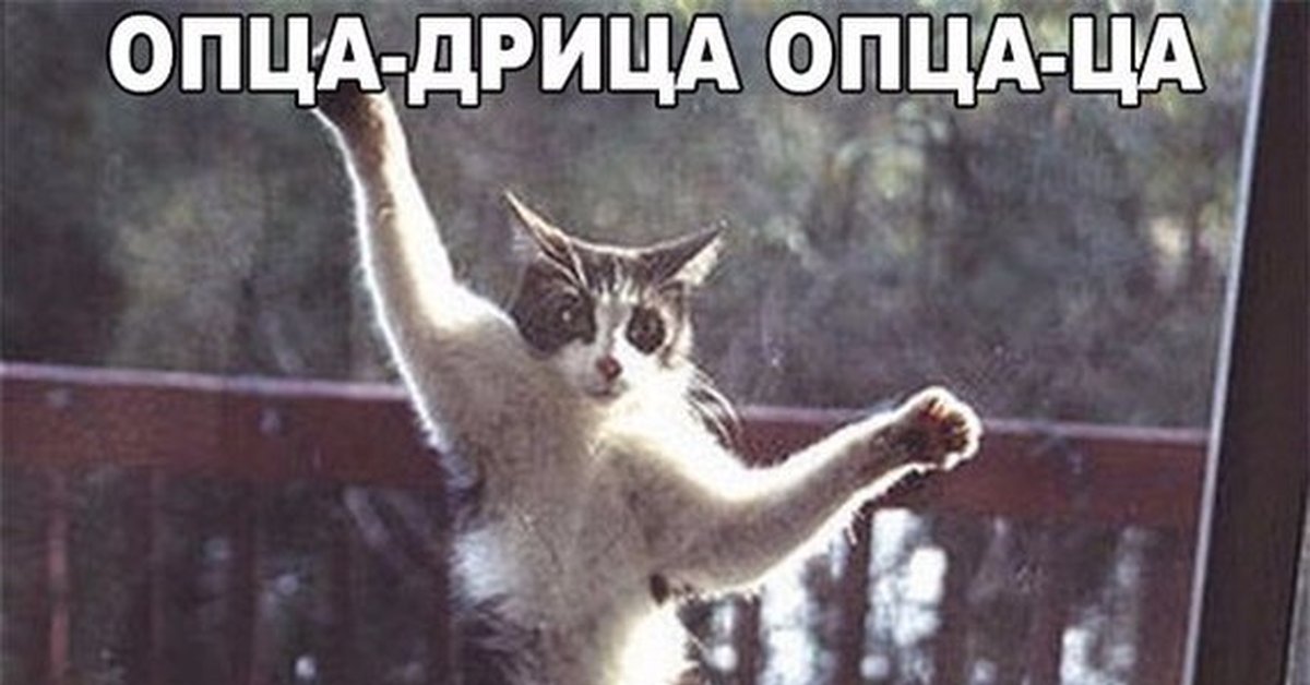 Ламца дрица гоп цаца что это значит