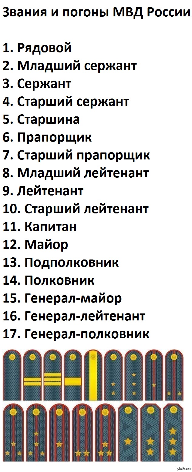 Звания в полиции: иерархия и обязанности сотрудников | администрация тазовского района