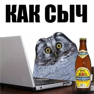 Значение выражения «один как сыч»