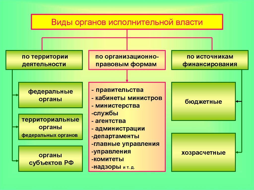 Каковы функции и задачи уполномоченных федеральных органов исполнительной власти в россии? - povoprosyguru.ru