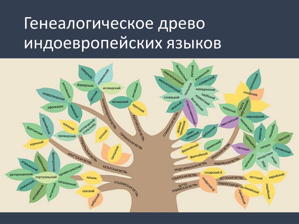 Мандаринский диалект китайского языка