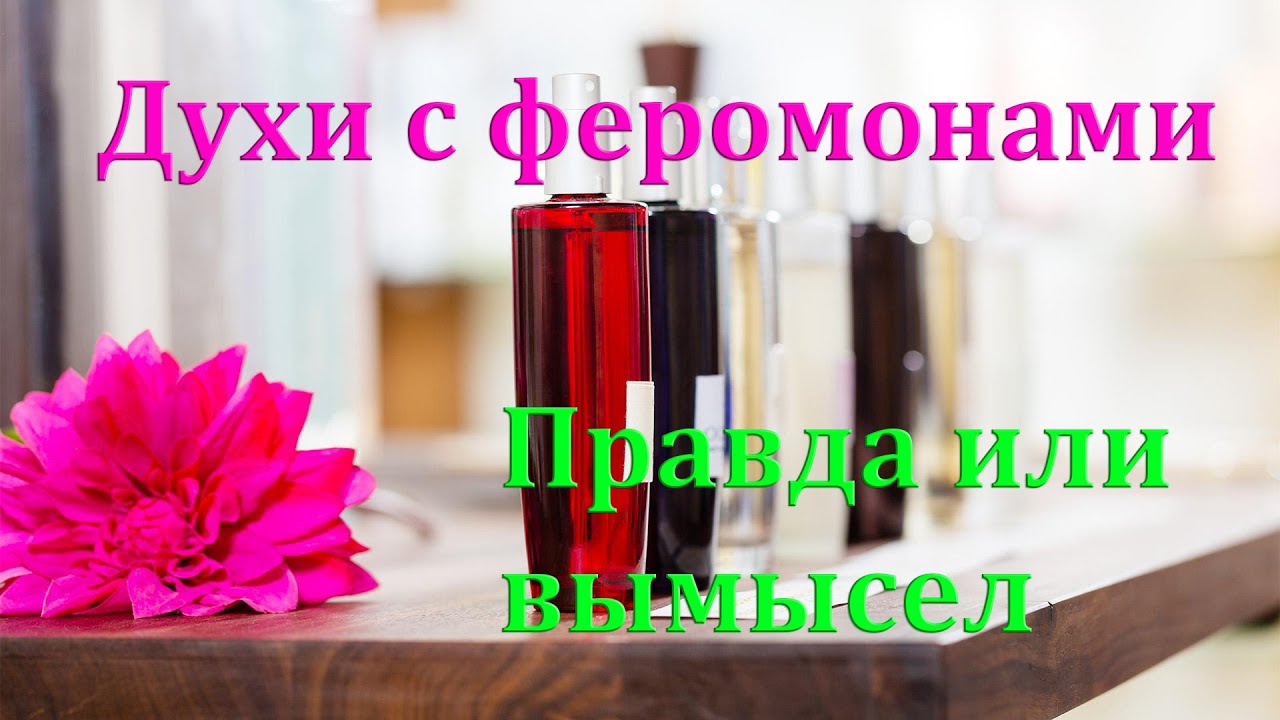 Запах феромонов и как их выработать у женщин и мужчин