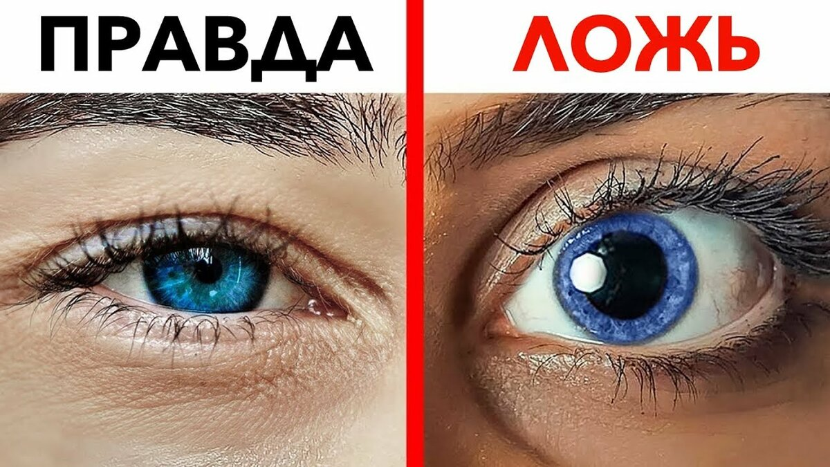 Взгляд. комплексная визуальная диагностика