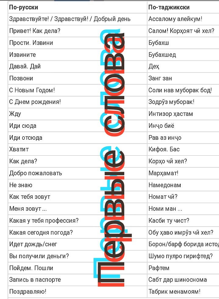 Значение слова чуча: что это такое?