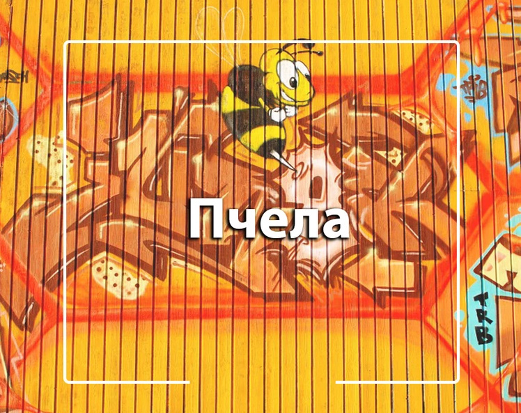 Фамилия родак: происхождение, значение, история, cуть, подходящие имена, известные люди, написание, перевод и склонение фамилии родак