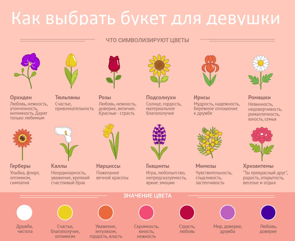 Расшифровка цвета роз для дарителя