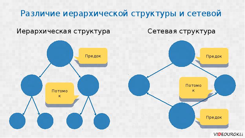 Генетическая генеалогия и классическая | familio.media