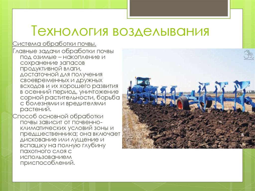 Что такое культивирование и как оно отличается от культивацииузнайте что такое культивирование и чем | 👩‍💻 темы и идеи для блога
