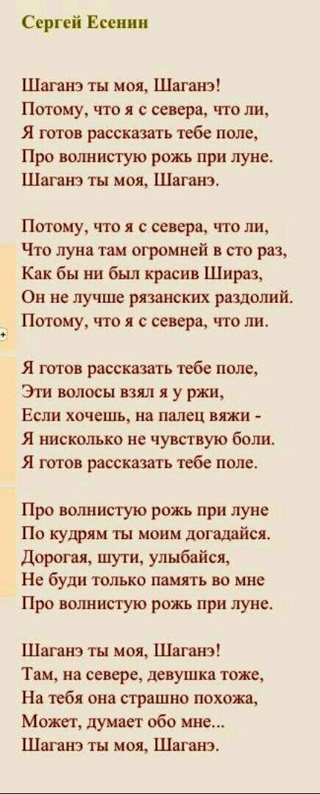 Что значит шаганэ ты мое шаганэ