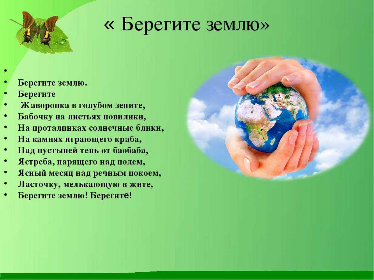 Окружающий мир глазами эколога (4 класс)