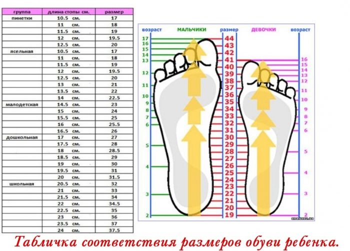 Размерные сетки обуви сша, европы и снг: как не ошибиться с размером