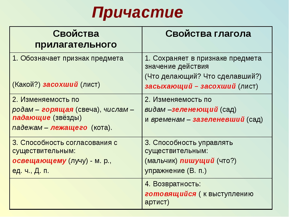 Диалектизмы — это слова с местным колоритом. какие слова называются диалектизмами?