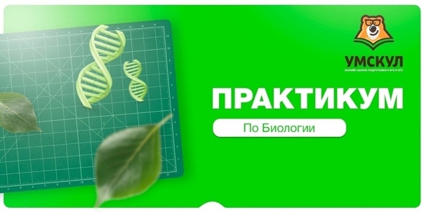 Кто делает ложки и вилки профессия. история ложки. г. полярные зори