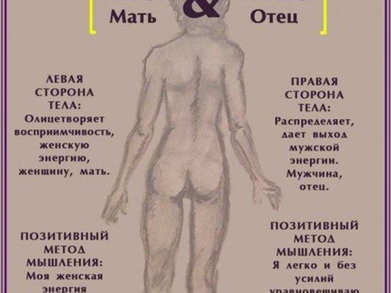 10 фактов о волосах на мужском теле