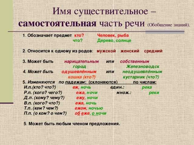 Что такое определяемое существительное: сущность и примеры использования