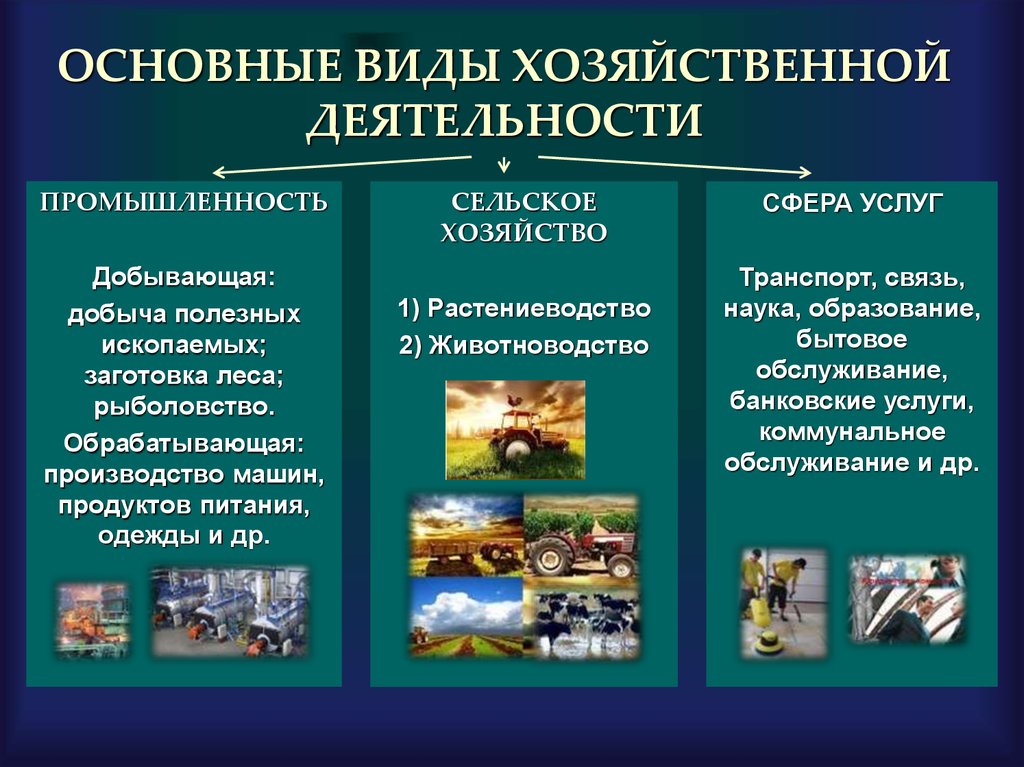 Хозяйственный человек – это тот, кто обладает способностью к эффективному управлению, организации и ведению бытовых и хозяйственных дел Такой человек