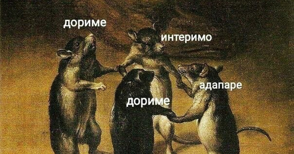 Короткая жизнь мема: почему модные фразы начинают раздражать - отношения - info.sibnet.ru