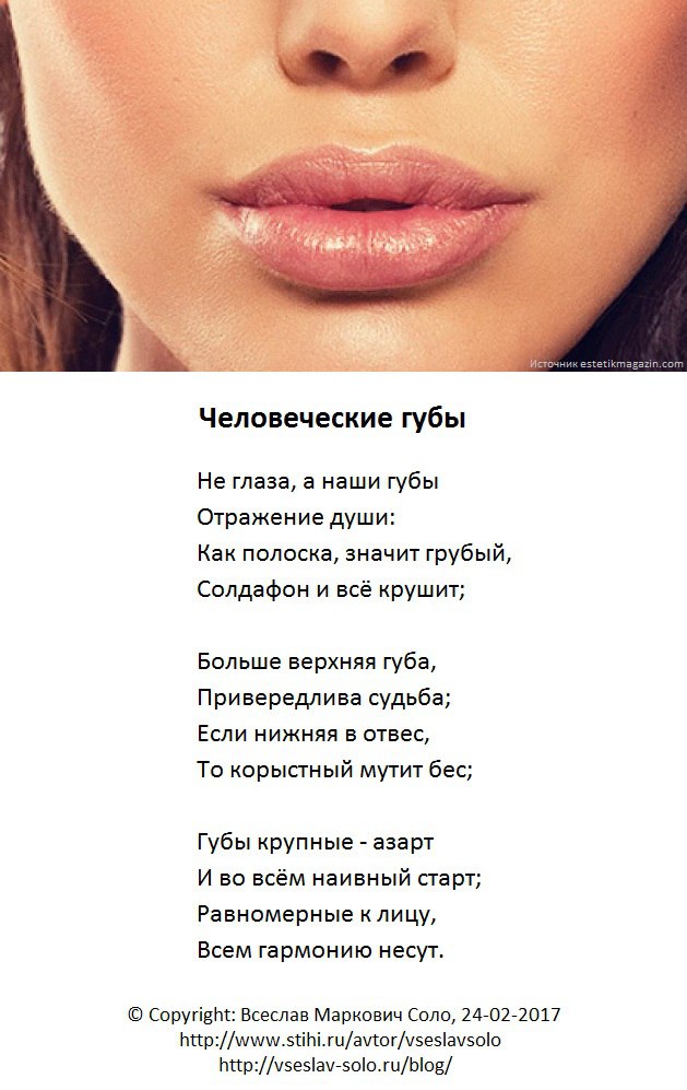 Выражение "губа не дура": значение, этимология. выражение "губа не дура": значение, этимология что значит губа не дура