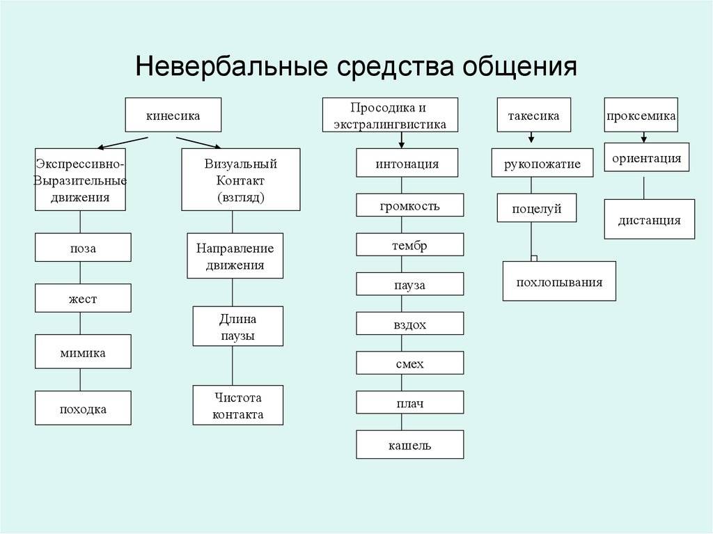 Глава шестая объяснение на пальцах. я вижу, о чём вы думаете