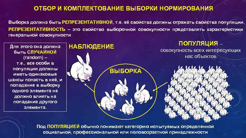 Выборы в политической системе общества