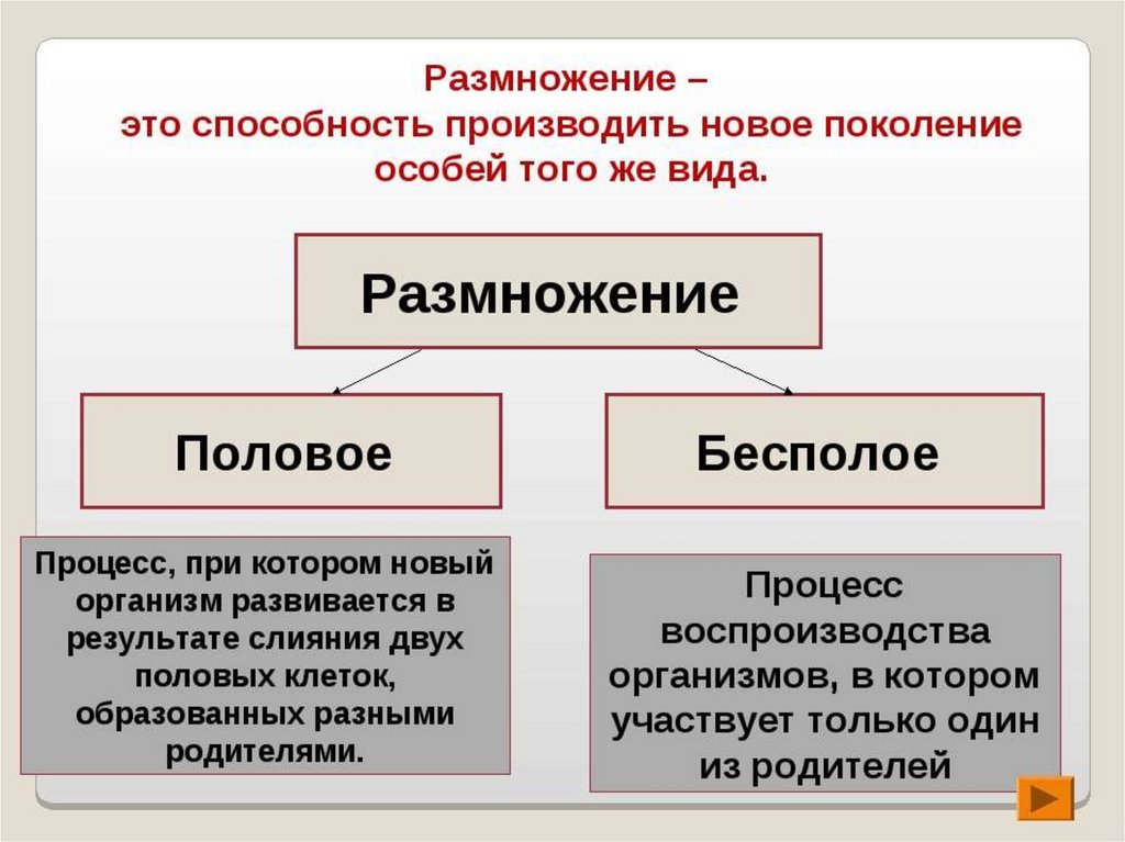 Репродукция живых организмов