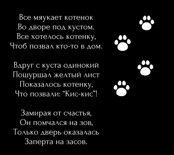 Тщетность бытия: что это значит?