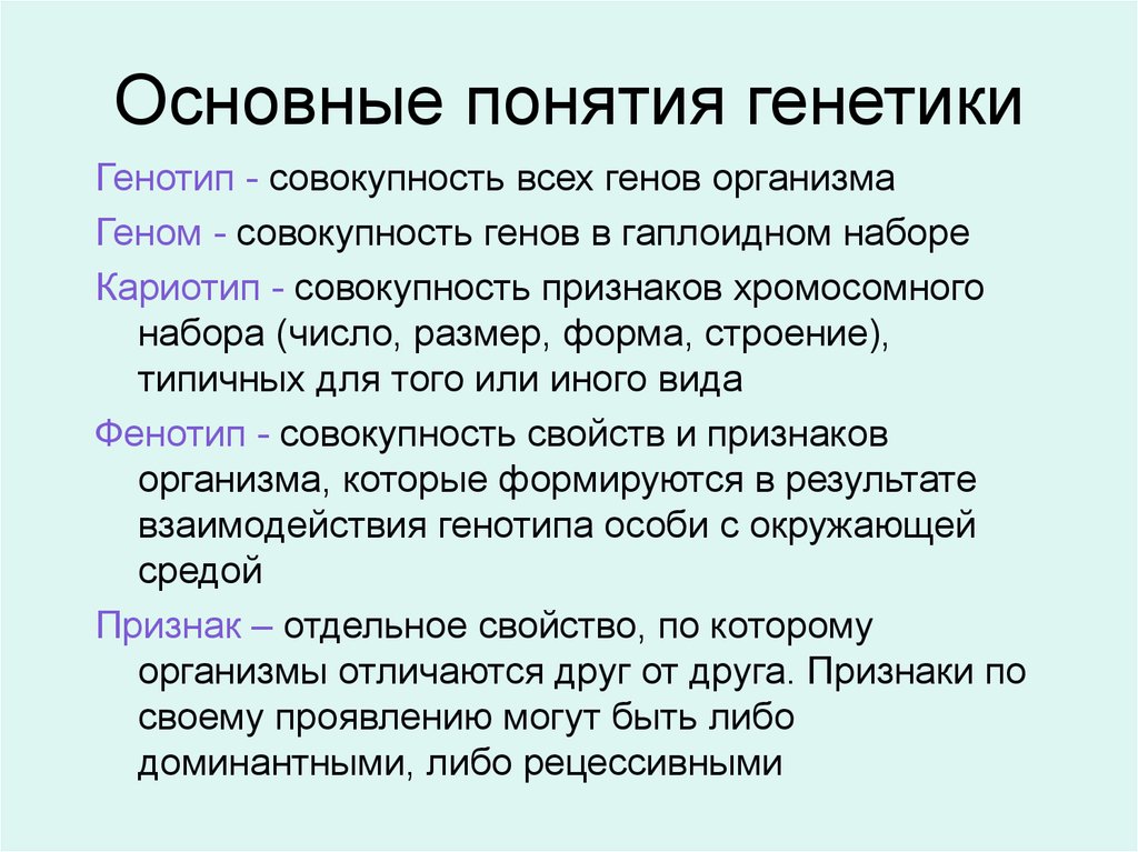 Что такое рецессивные и доминантные гены: объяснение и примеры