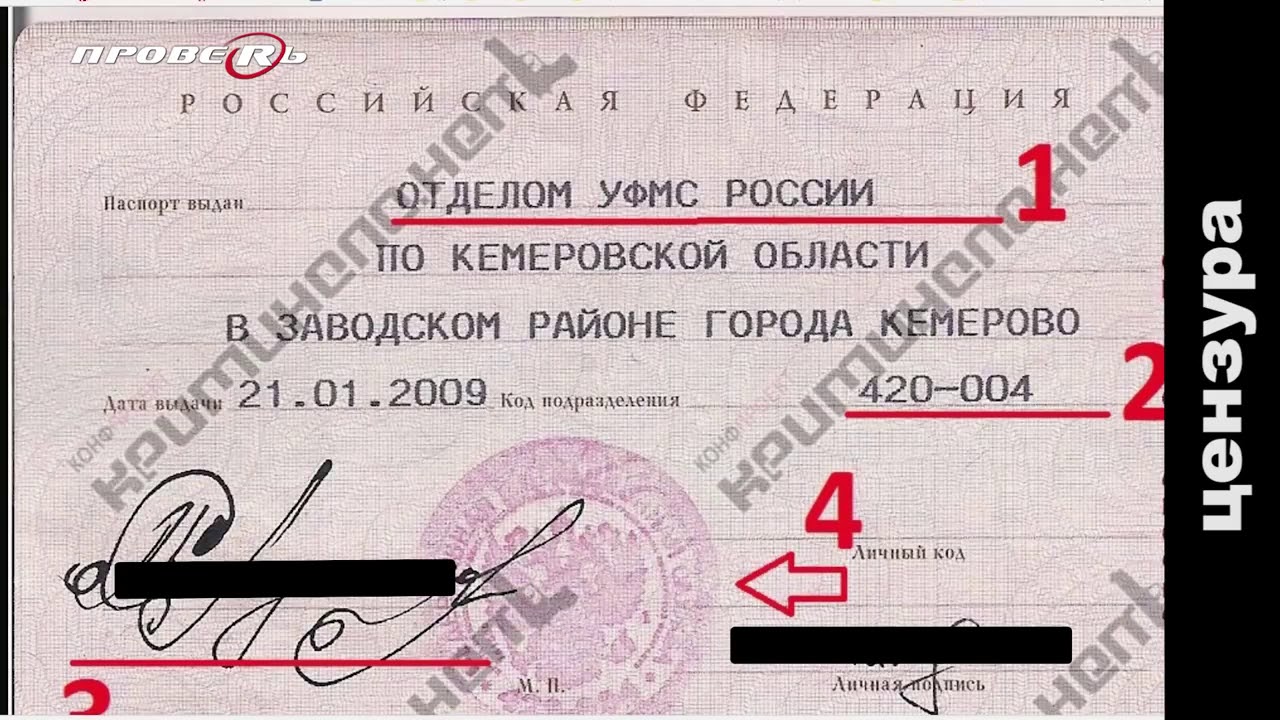 Индекс паспорта в россии – как узнать и использовать
