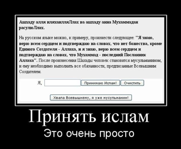 В последние годы социальные сети и интернет пространство стали настоящим полем битвы за внимание пользователей В этой гонке за популярностью появляются и