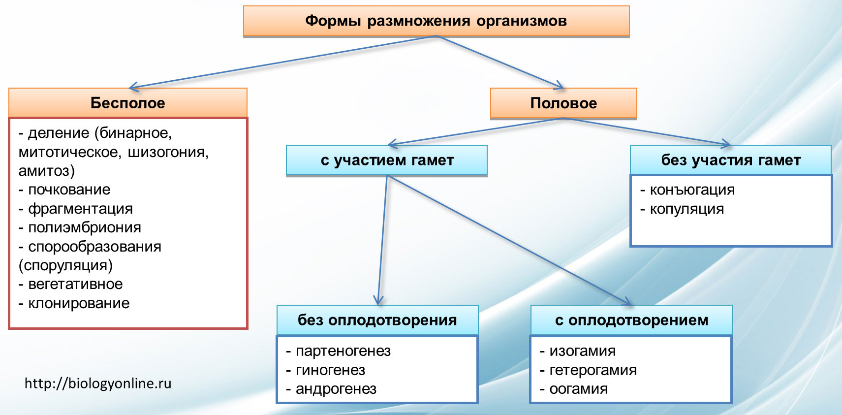 Формы размножения организмов в биологии