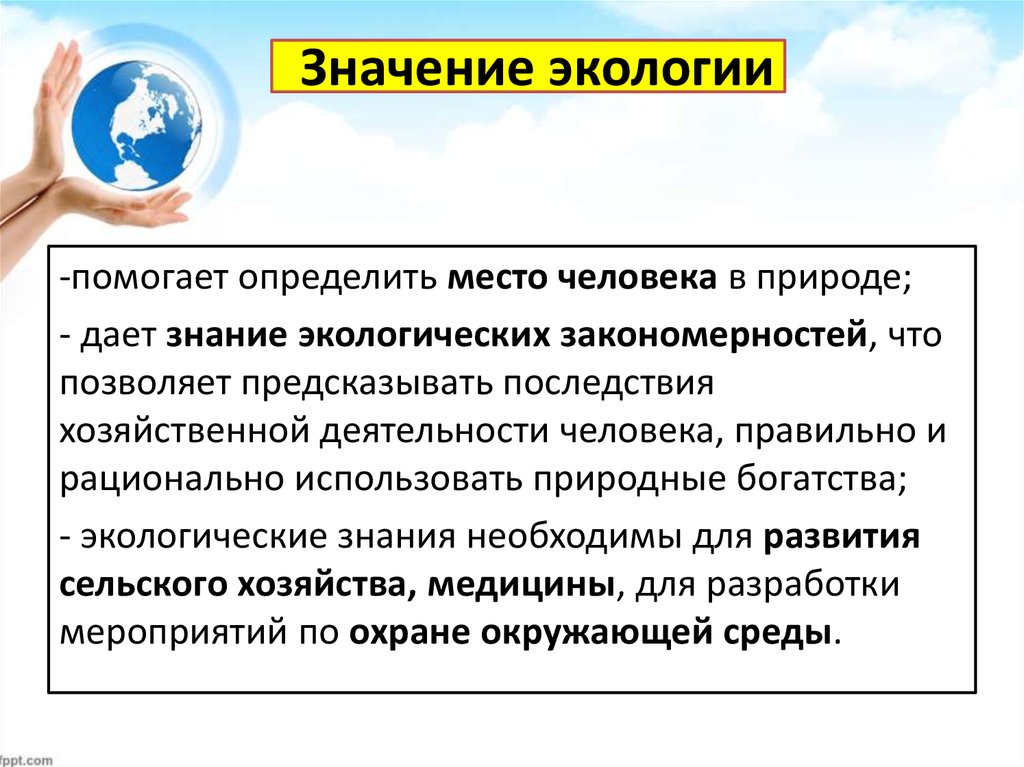 Что изучает экология и её значение в жизни человека